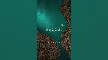 تلاوة جميلة بصوت الشيخ ماهر المعيقلي ارح سمعك