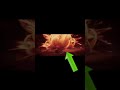ELDEN RING Malenia Super Saiyan 10?   #shorts