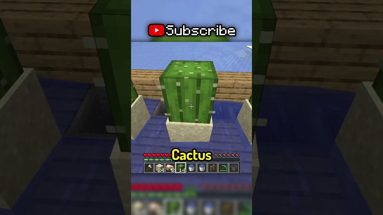 The BEST Way To Level Up In Minecraft