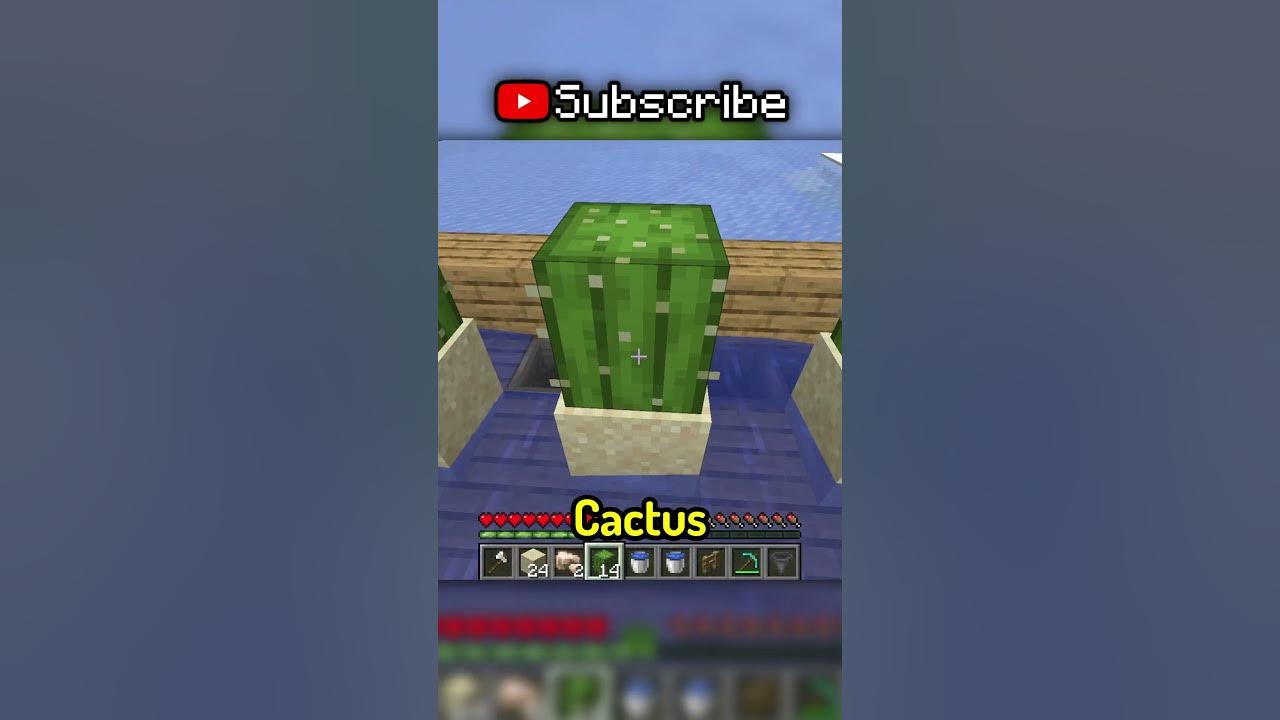 The BEST way to level up in Minecraft - YouTube