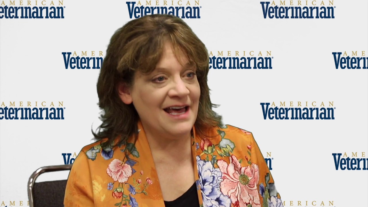 Using Acupuncture in Veterinary Medicine - YouTube