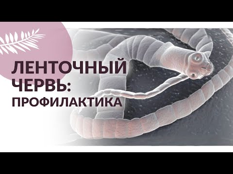 Видео: Как избавиться от ленточных червей у собак