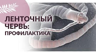 ПАРАЗИТЫ: ЛЕНТОЧНЫЕ ЧЕРВИ. Диагностика и профилактика гельминтов.