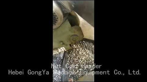 Nut Cold Header Nut production line