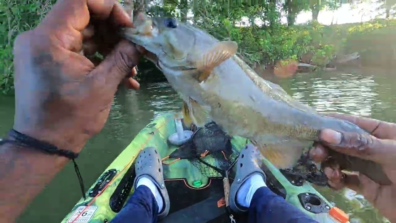 First bass fishing tournament 3rd place