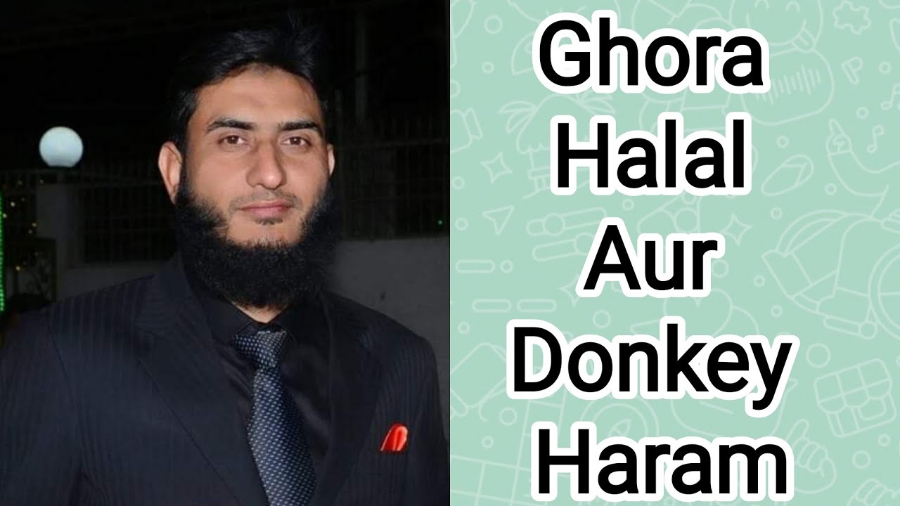 Horse 🐎 Ghora Halal Hai Aur Donkey (Gadha) Haram Hai | Dr Madhatullah Khan Sherwani