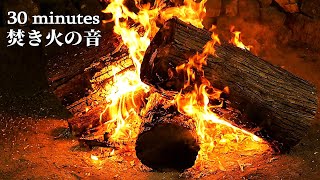 Cozy bonfire 30 minutes - Burning large logs - Relaxing fireplace and crackling sounds. by よかじかん【Mitsu’s Free Time】 22,624 views 1 year ago 30 minutes