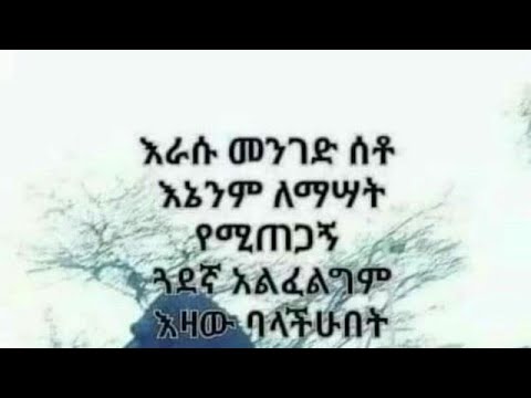 ቪዲዮ: አንድ ሺህ ትዙን እንዴት እንደሚቆረጥ