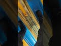 test cycling lane 18 after replacing cycle solenoid on original Brunswick pinsetter #diy #bowling