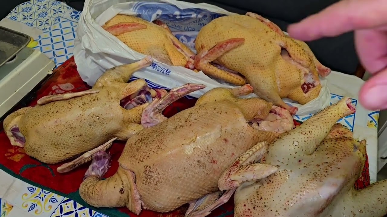 Кто лучше? Крякающие или мускусные утки?