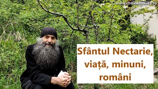 Sfântul Nectarie, viață, minuni, români - p. Pimen