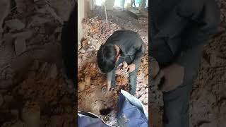 Copper Bonded Earthing Installation At Gurugram Site. #chemicalearthing #construction #earthing