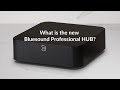 Bluesound professional  hub networked audio source adapter