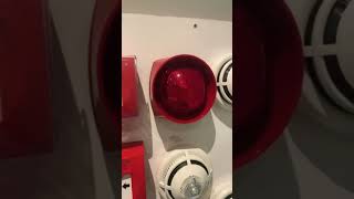 Eltek Fire Safety 251491 Acoustic/Optical
