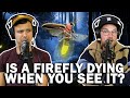 Flying fireflies are about to die!