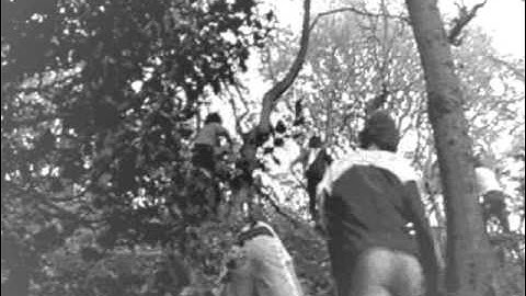 recently discovered footage of orienteering from 1973.wmv