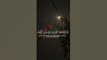 سورة الحشر [ ١٩ - ٢١ ] #قران #قران_كريم راحة بال تلاوة شيخ ياسر الدوسري