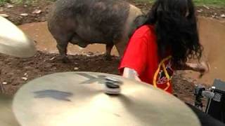 Animals Killing People - Humans Disgusting Species - Unedited Version - No Effects.