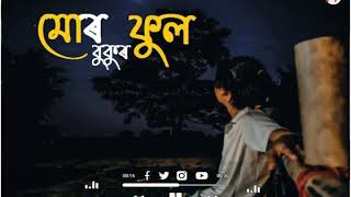 MUR BUKUR FUL | YAMAN KALYAN DEKA FT. ANGANA BORA | SHARAT GOGOI |whatsapp status|MP PRODUCTION screenshot 3