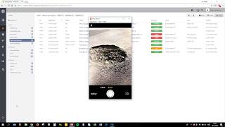Pureservice Meldeportal