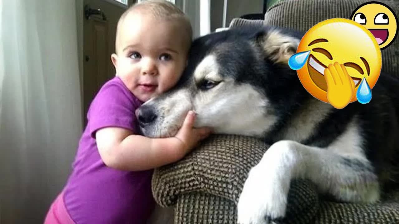 You Laugh, You Lose! 🤣 Funny Cat Videos 2025 😹 😵‍💫 #funny_cats #funniestcats #catvideos