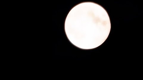 SYSTEM OVERLOAD ( OFFICIAL MUSIC VIDEO )