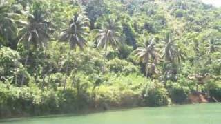 Bohol