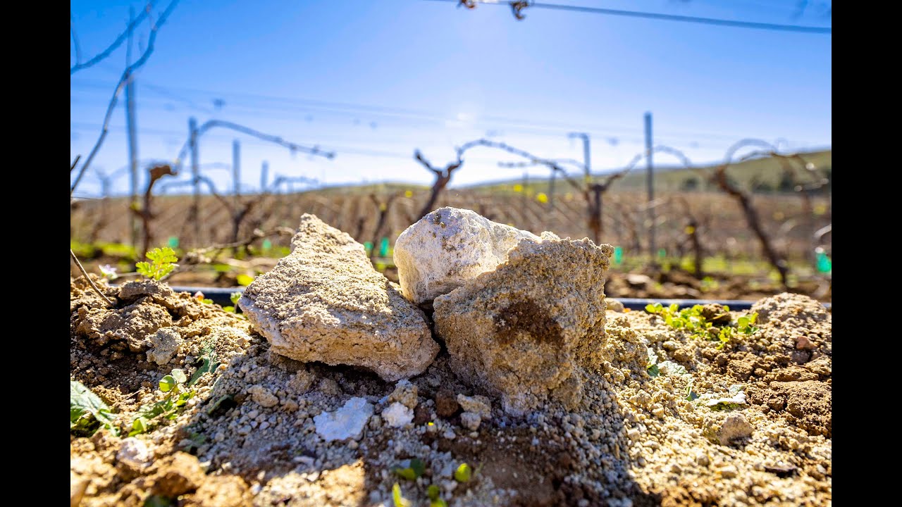 El poder de la cal - YouTube