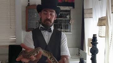 Our first ball python hatchlings and an update on a few of our newer animals!