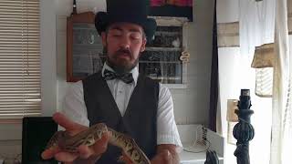 Our first ball python hatchlings and an update on a few of our newer animals! Wealth