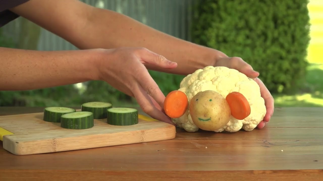 Kid Experiments: Vegetable Animal | English | Darwin and Newts