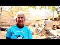 Look what your help gave animals in 2018!