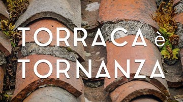 Video Contest "Un giorno da Certosino" - Torraca è Tornanza