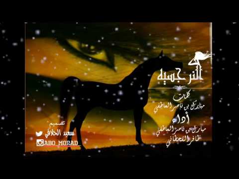 شيلة النرجسيه أداء صوت قحطان ظافر القحطاني و مبارك ناصر العاطفي 