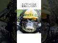 カイマン君と名付けられたワニは　#動物雑学 #ワニ #動物好き
