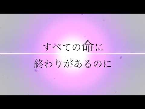 Cover 坂本真綾 色彩 Full 歌詞つき Piano Arrange Fate Grand Order Fgo Maaya Sakamoto Shikisai ピアノ Youtube