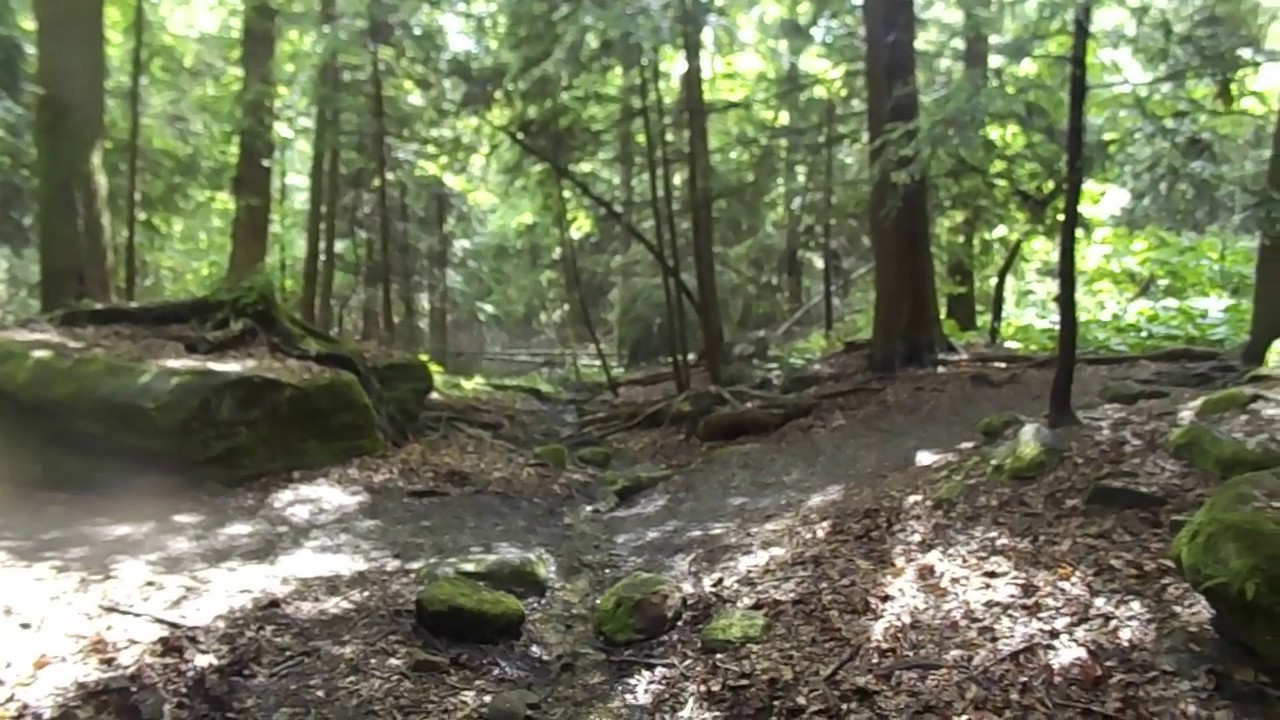 OHIO trails The Ledges - Cuyahoga Valley National Park ledges trails 1 weathered  close ups.