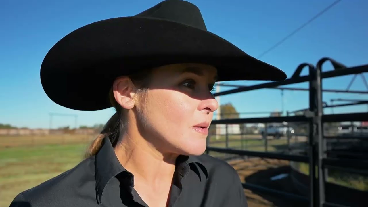 История лошади «Американская мечта»: Линди Торн, чемпионка по работе с крупным рогатым скотом.