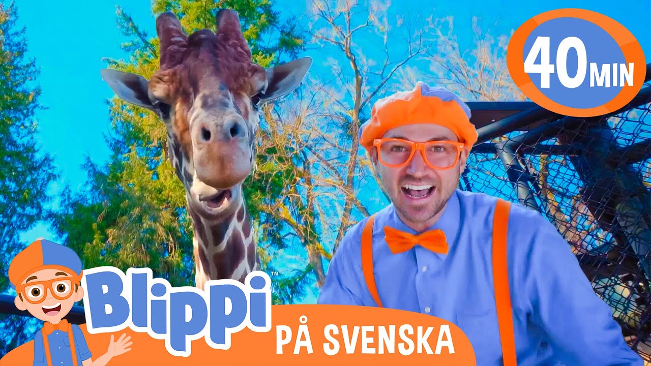 Blippi Svenska | Blippi   matar djuren i djurparken | pedagogiska videor för barn
