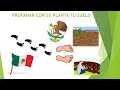 Himno Nacional Mexicano para niños