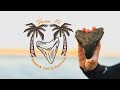 2024 Venice Florida Sharks Tooth Festival #fossil #megalodon #florida #ihuntdeadthings #epicfossils