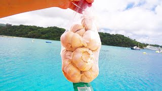 ニンニクで魚は釣れるのか実験してみた