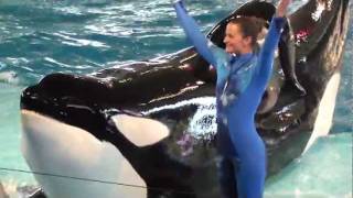 The Kids Getting Splashed By The Whales - San Antonio Seaworld