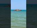 OASI DEL SIMETO, CATANIA #oasi #simeto #shorts