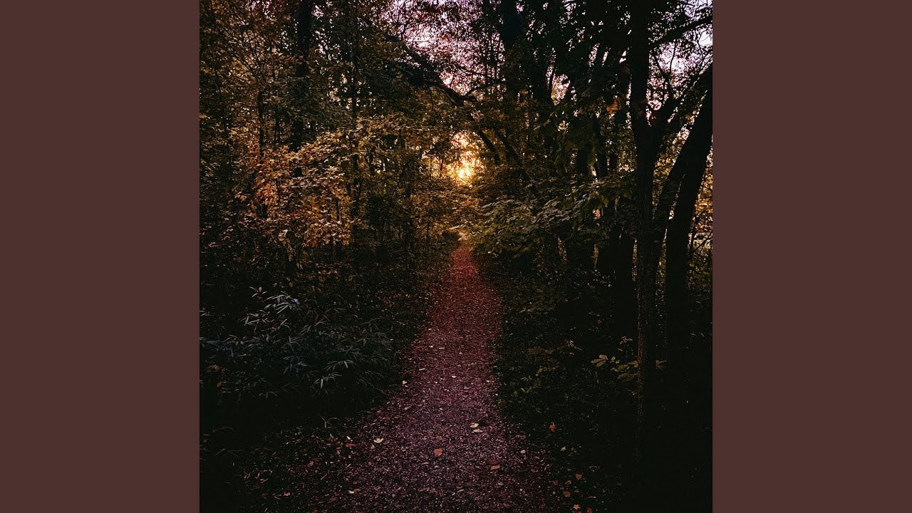 Watch Path Between The Trees on YouTube Watch Path Between The Trees on YouTube