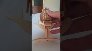 Rolife, Modern 3D wooden puzzle, Owl (TG252) @Robotime