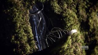 Doctor Who's Top 11 Technology