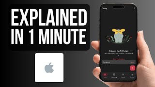 How to Organize Tasks with Todoist on Your Mobile