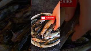 🎣 “Village Fishing Vlog – Full Action 😎”#ytshorts #fishingshorts #shortvideo #suklambar838