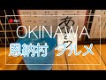 【沖縄 恩納村】最新!ニューオープンのお店〜大人気のお店♪迷ったら⁈迷わなくてもココでしょ✨ 初パパイヤ料理!Okinawa Gourmet Onna Village🌺